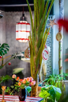 Gallerie Riad Tibibt